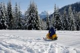 I malý mrňata si můžou trochu zasnowmobilovat.